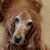 Beth Raub Bessmer's profile image