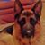 Judi Leigh Conner's profile image