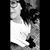 Katelyn McKelvey's profile image