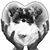 Annabella Brocato's profile image