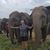 Emily Samfield's profile image