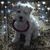 Melissa Johnson Bohannon's profile image
