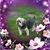 Jeanette DeBrock Shaw's profile image