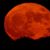 Lois Payton's profile image
