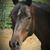 Bobbie Morrill Poisson's profile image