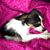 Julie Veldman's profile image
