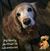Fabiola Galdames Larraguibel's profile image