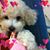 Mon Lam's profile image