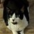 Phyllis Avalos's profile image
