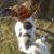 Sara Wilson's profile image