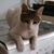 Zahava Miriam Ben Yishai's profile image