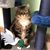 Judy Stears Burnham's profile image