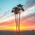 Lidia Tony Ocsay's profile image