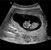 Marie Streenz's profile image