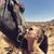 Misty Dawn's profile image