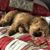 Sarah Armand's profile image