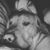 Kelsey Mirah Price's profile image