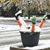 Deirdre Halloran Sebastian's profile image