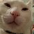 Gwen Frye's profile image