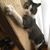 Wendy Leung's profile image