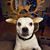 Stacy Agosta's profile image