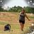Toni Torrez's profile image