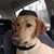 Jason Autry's profile image