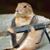 Douglas Nissley's profile image