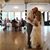 Tina Frantz Kusmer's profile image