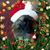 Shirley Davis Willis's profile image