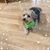 Linda Jacobs's profile image