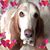 Ellen Maull's profile image