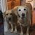 Barb Renfro's profile image