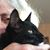 Madelaine Mimi Torchia Boothby's profile image