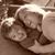 Angelica Lobato's profile image