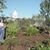 Susan Youmans Rushton's profile image