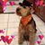 Margo Fahrenholtz's profile image