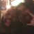 Kimani Feaster's profile image