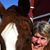 Barbara Strout's profile image