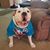 Jeff Todd's profile image