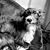 Nicholas Travis-Beck's profile image