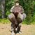 Gary Williamson's profile image