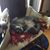 Karen Dohm's profile image