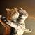 Joan Switzer's profile image