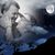 Vikki Gilley Tolbert's profile image