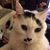 Danielle Vyse's profile image