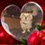 Donna Jo Albright's profile image