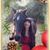 Shelley Sarges Wiley's profile image