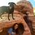 Heather Nanney's profile image