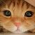 Angela Martin Diggs's profile image